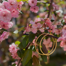 Load image into Gallery viewer, SOLAR bangles
